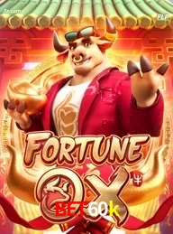 bet60k cassino online Brasil apresenta Fortune Ox jogo de slots